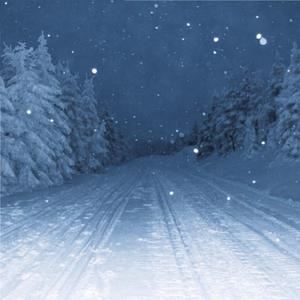 亚洲精品少妇18🈲网站
